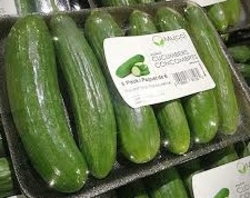 Cucumber Mini
